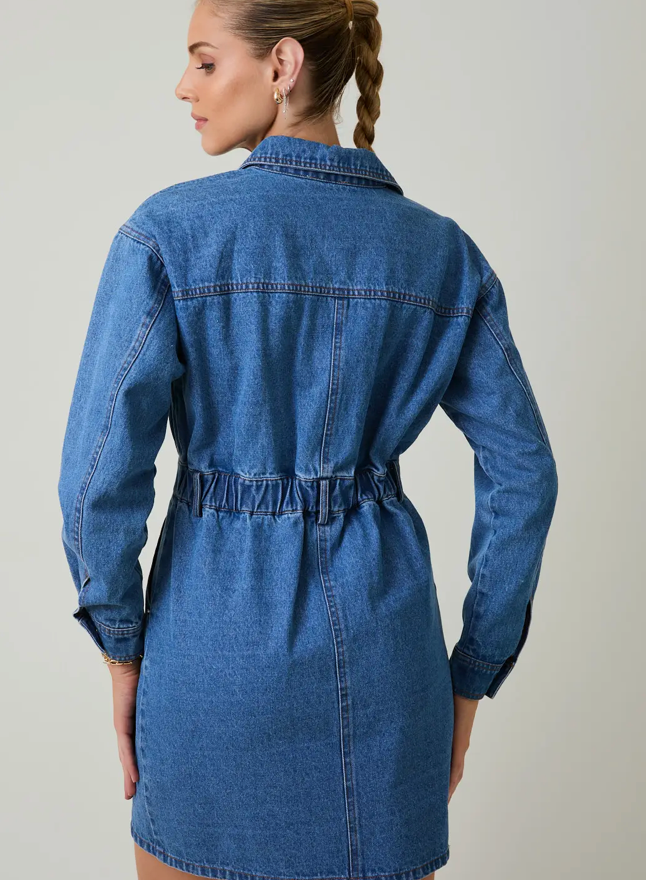 long sleeve denim mini dress Women's Petite Indigo Fitted Functional pockets enhance practicality Washed Black Denim Dress -